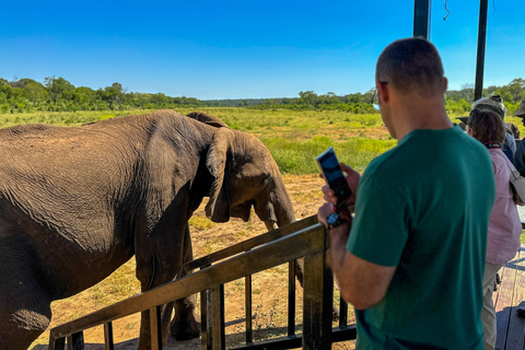 Victoriafallen: Elecrew genom en elefants ögon