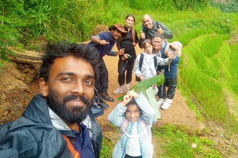 All-Inclusive Knuckles Mountain Range Full-Day Hiking Tour From Sigiriya/Dambulla:Knuckles Mountain Range Full-Day Tour