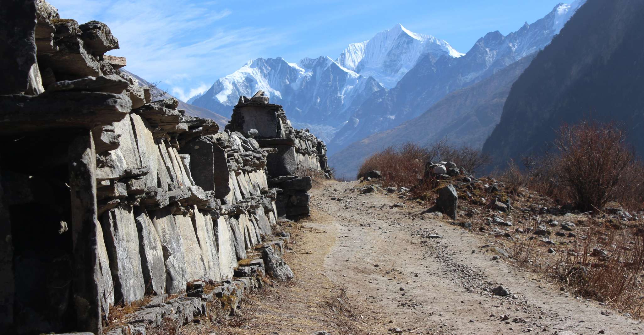 Langtang Valley Trek - 08 Days - Housity
