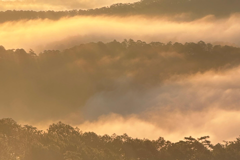 Dalat: Cloud Chasing packaged hike - Sunrise Pickup Included Group Packaged Tour - Free photo & video taken by tour guide