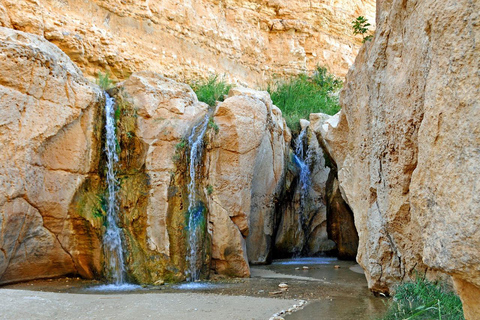 From Tunis: 2-Day Desert Tour with Night in Bedouin Tent