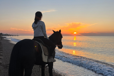 Antalya Horseback Riding Adventure Through Scenic Trails