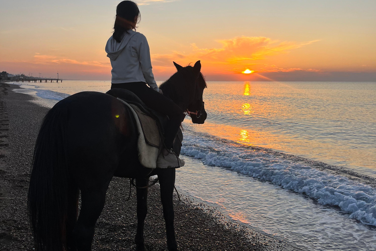 Antalya Horseback Riding Adventure Through Scenic Trails