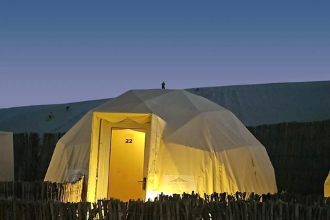 Doha: Full-Day Desert Safari with BBQ Dinner &amp; Desert camp