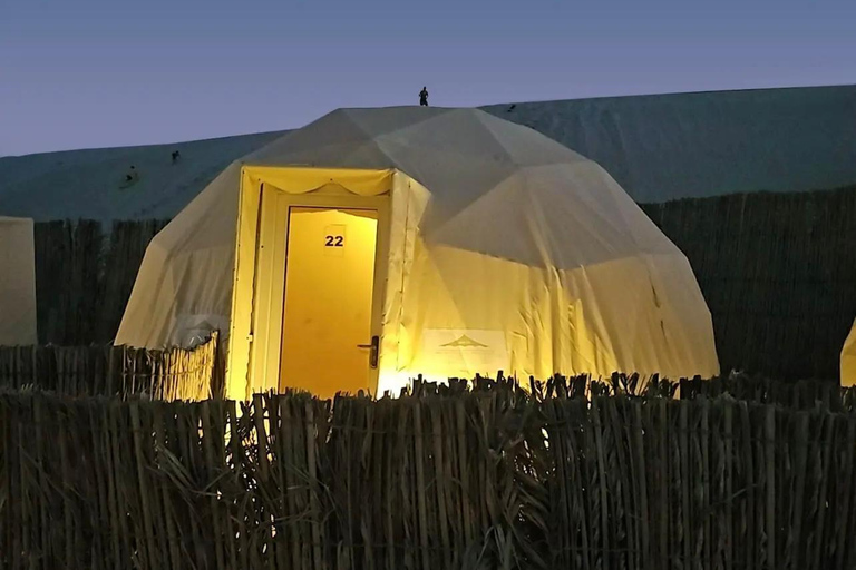 Doha: Full-Day Desert Safari with BBQ Dinner &amp; Desert camp