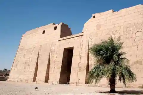 Luxor: Dendera and Medinet Habu Private Guided Day Tour