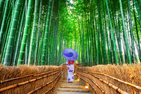 3/5/7 Days Private Japan Tour with English Speaking Guide 3 Days Private Tokyo or Kyoto Tour with English Guide