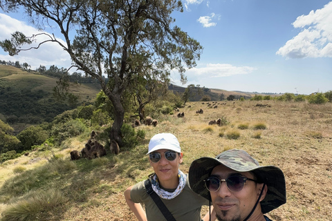 Simien Mountains: 4 Tage Trekking zum Simien Mountains ParkSimien Mountains: 4 Tage Trekking im Simien Mountains Nationalpark