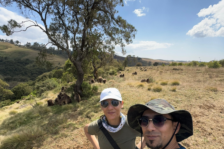 Simien Mountains: 4 Tage Trekking zum Simien Mountains ParkSimien Mountains: 4 Tage Trekking im Simien Mountains Nationalpark