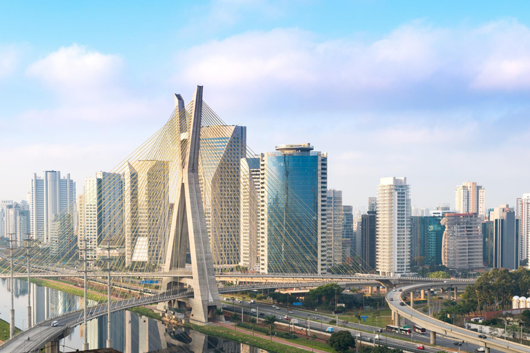 Shore Excursion from Port of Santos: São Paulo Day Tour