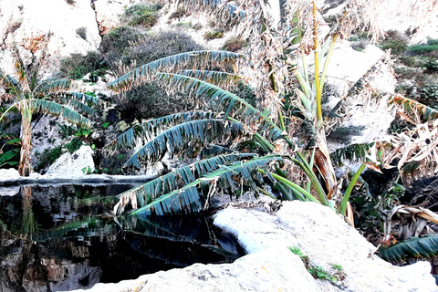 Gozo svelato: Tour guidato di escursionismo con bouldering