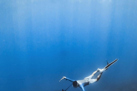 Private Boat Snorkeling Tour Manta Rays, Central Of Komodo