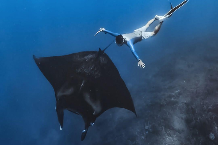 Private Boat Snorkeling Tour Manta Rays, Central Of Komodo