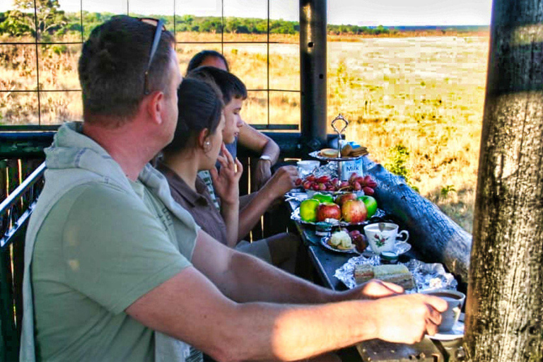 Safari "High Tea" dans le parc nationalSafari au thé dans le parc national de Chamabondo