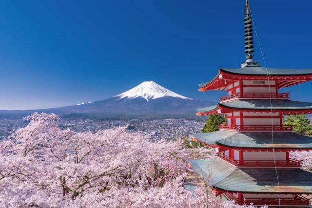 Visit Mt Fuji; Arakurayama sengen park and Oshino Hakkai tour in Mount Fuji