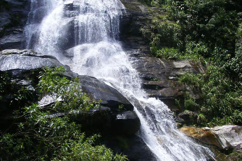 Rio de Janeiro: Zwiedzanie z przewodnikiem do Parku Narodowego Tijuca