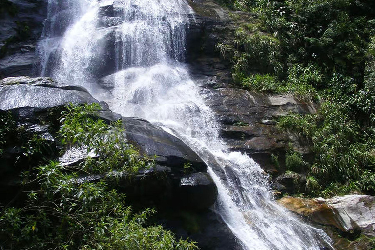 Rio de Janeiro: Zwiedzanie z przewodnikiem do Parku Narodowego Tijuca