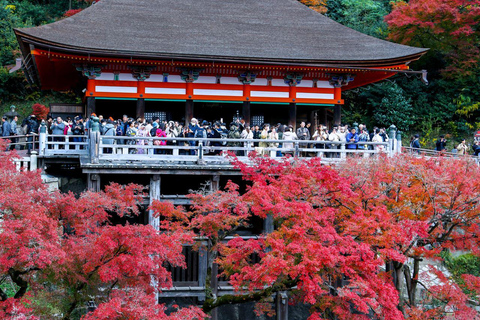 Kioto/Osaka: Świątynia Kiyomizu-dera, wycieczka 1-dniowa do parku NaraKioto:9:40