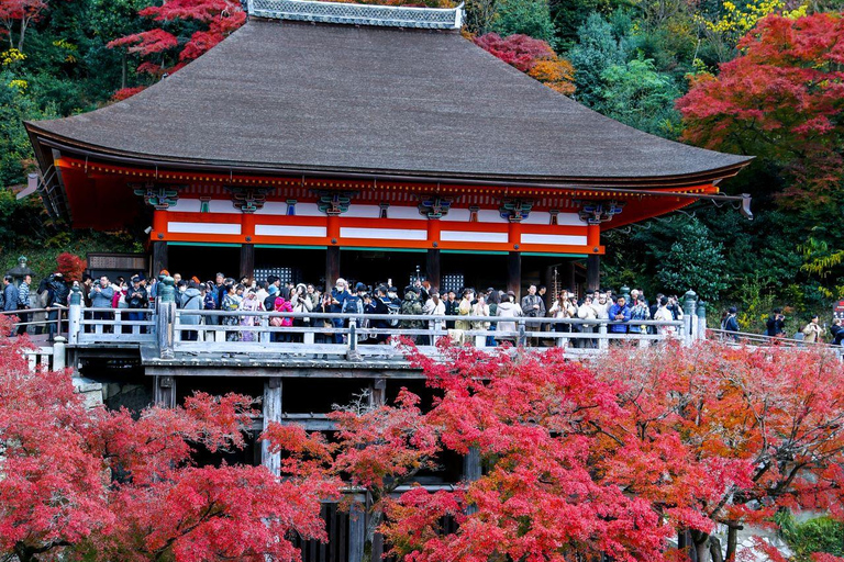 Kioto/Osaka: Świątynia Kiyomizu-dera, wycieczka 1-dniowa do parku NaraKioto:9:40