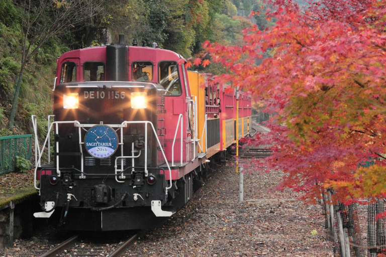 Arashiyama&Fushimi Inari&Nara Park: Classic One-Day Tour