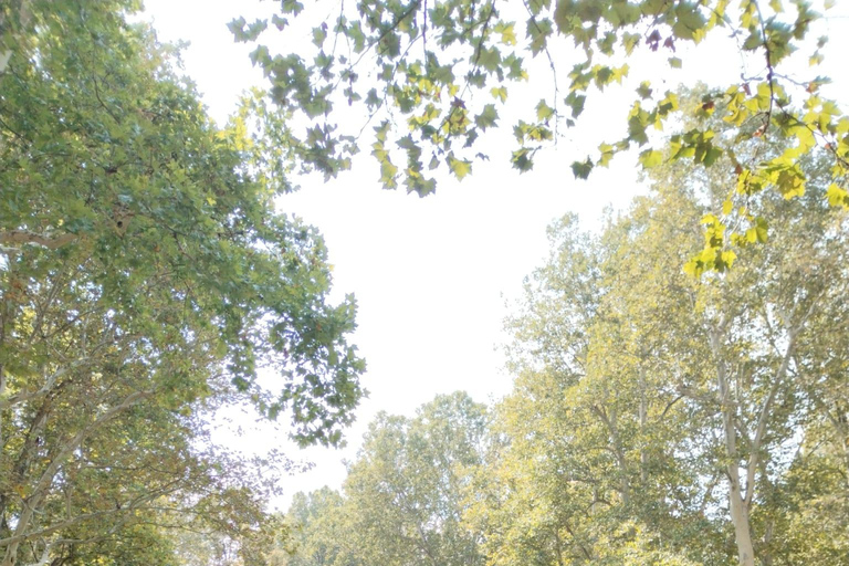 Experience old town Zagreb