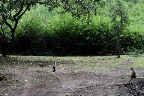 Duluti-See: Kanufahren, Naturwanderung und ExtraKajakfahren, Spaziergang in der Natur und Töpferkurs