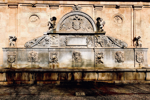 Granada: Tour guidato a piedi privato dell&#039;Albaicín e del Sacromonte