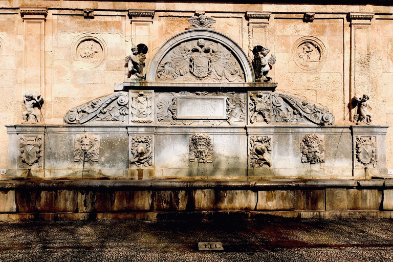 Granada: Albaicín y Sacromonte Tour Privado Guiado a Pie