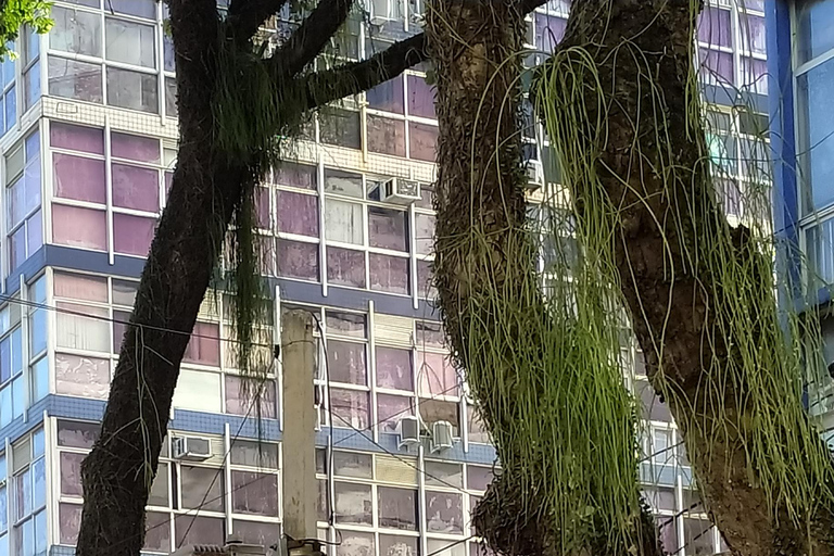 Salvador: Carnival in Salvador, party like a Bahian.