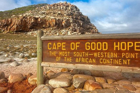 Kaap de Goede Hoop en Boulders Beach privétour