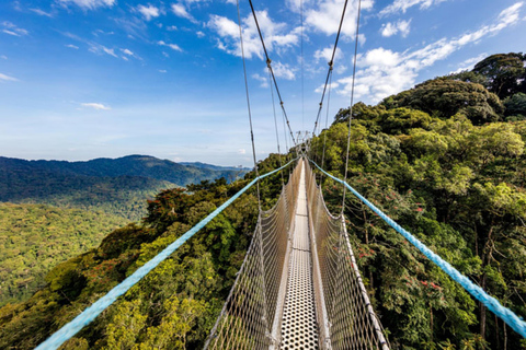 Kigali: 2-Day Nyungwe Canopy Walk, Zipline & Waterfall Tour