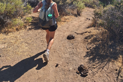 Andes Day Hike from Santiago: Summit Alto del Naranjo