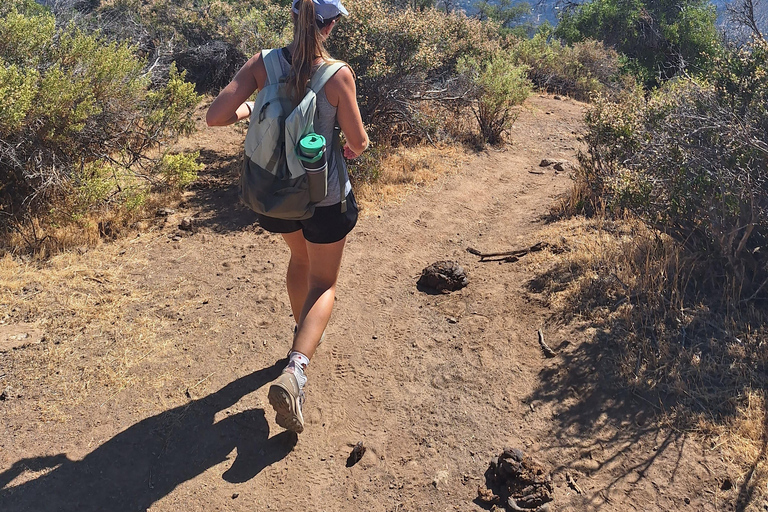 Andes Day Hike from Santiago: Summit Alto del Naranjo