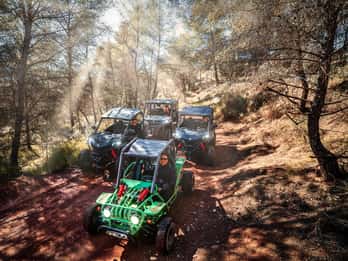 Benidorm : Jungle en buggy ou visite des cascades d'Algar
