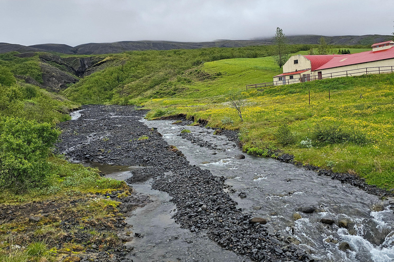Iceland Reykjavik: Golden Circle Private Tour