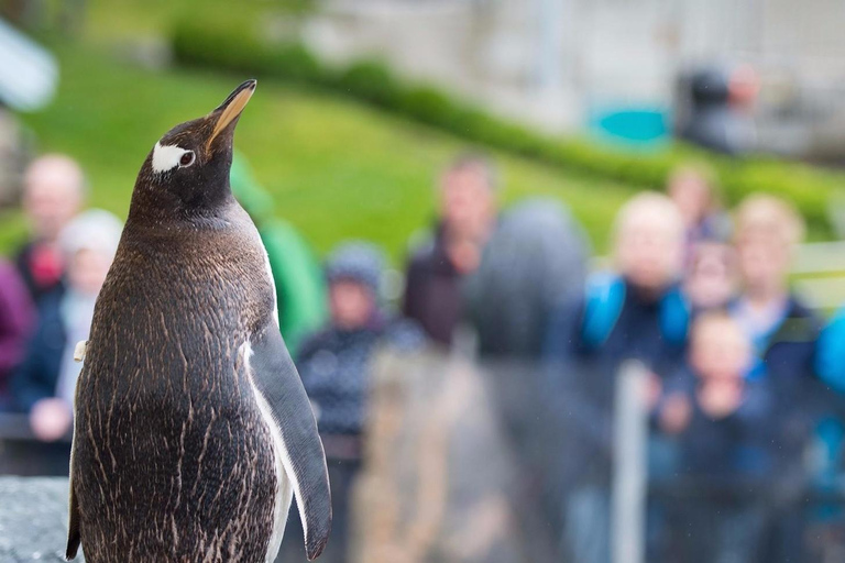 Bergen: Ticket de entrada al Acuario de Bergen