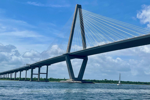 Charleston: Saturday Afternoon Harbor Sail on a Catamaran