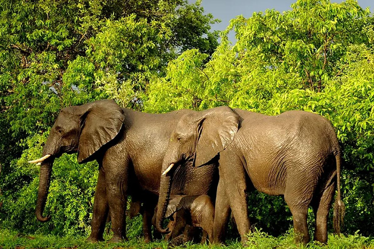 Chebera Churchura: Wildtiere &amp; malerische Ausblicke 4-tägige TourChebera Churchura: 4-tägige Tour mit Wildtieren und tollen Aussichten