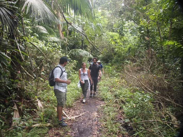 Soberania National Park Rainforest Hike | GetYourGuide