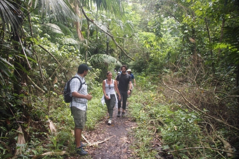 Randonnée dans la forêt tropicale du parc national de SoberaniaRandonnée dans le parc national de Soberania