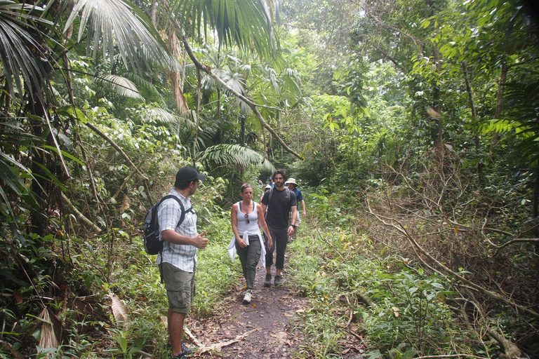 Cidade do Panamá: Caminhada Privada na Floresta Tropical do Parque Nacional Soberania