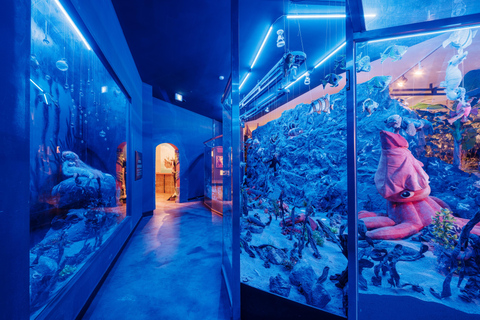 Jeju: Teddy Bear House TESEUM toegangsbewijsJeju: Teddybeerhuis TESEUM Toegangsbewijs