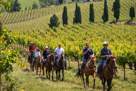 Tuscany Horseback Ride, Lunch, & Wine - Small Group From San Gimignano