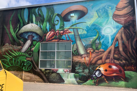 Denver: North RiNo Art District Graffiti and Street Art Tour