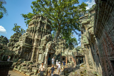 Private Angkor Wat Sunset Tour by Tuk Tuk with Lunch Include