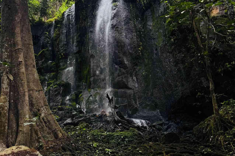 Moshi: Mailisita Village Waterfall Tour with Pickup Moshi: Mailisita Village Waterfall Tour with Pickup
