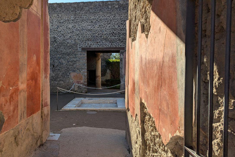 Pompeii Express: High-Speed Train from Rome