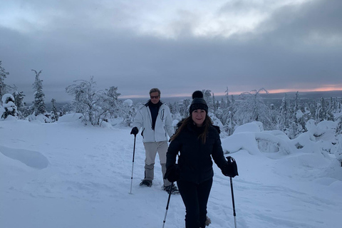 Levi: Snöskovandring: Tomtens stuga och picknick i natursköna omgivningar