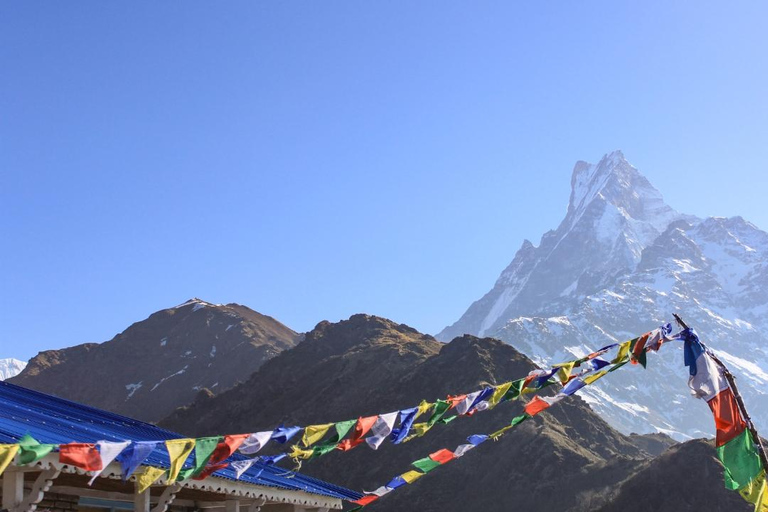 Népal : Trek du Mardi Himal - 7 jours (meilleurs treks courts au Népal)Trek du Mardi Himal : services de guide uniquement