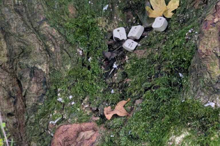 Glastonbury: Guided Tour of Avalon with Celtic Shaman